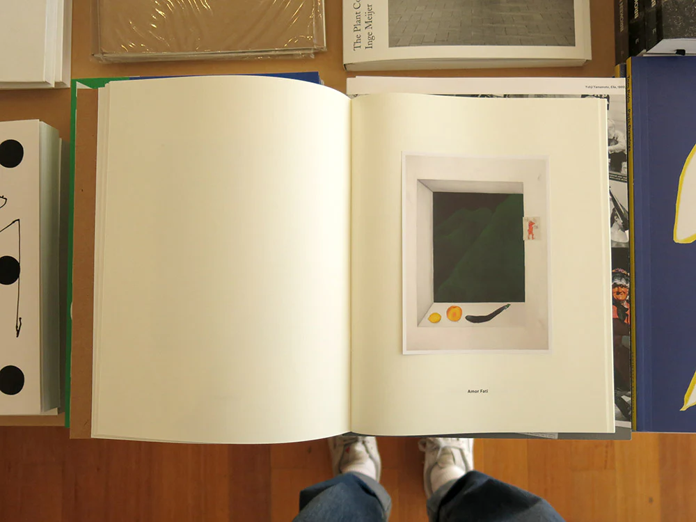 Sarah Schneider – No Fish - Image 4