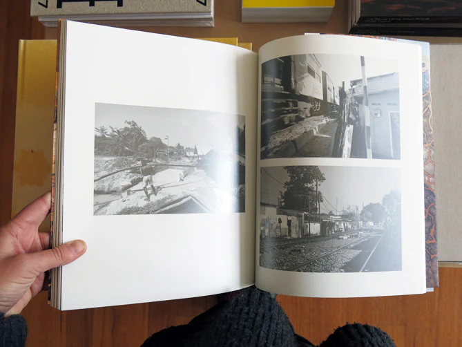 Scavengers & Other Creatures in Promised Lands - Image 7