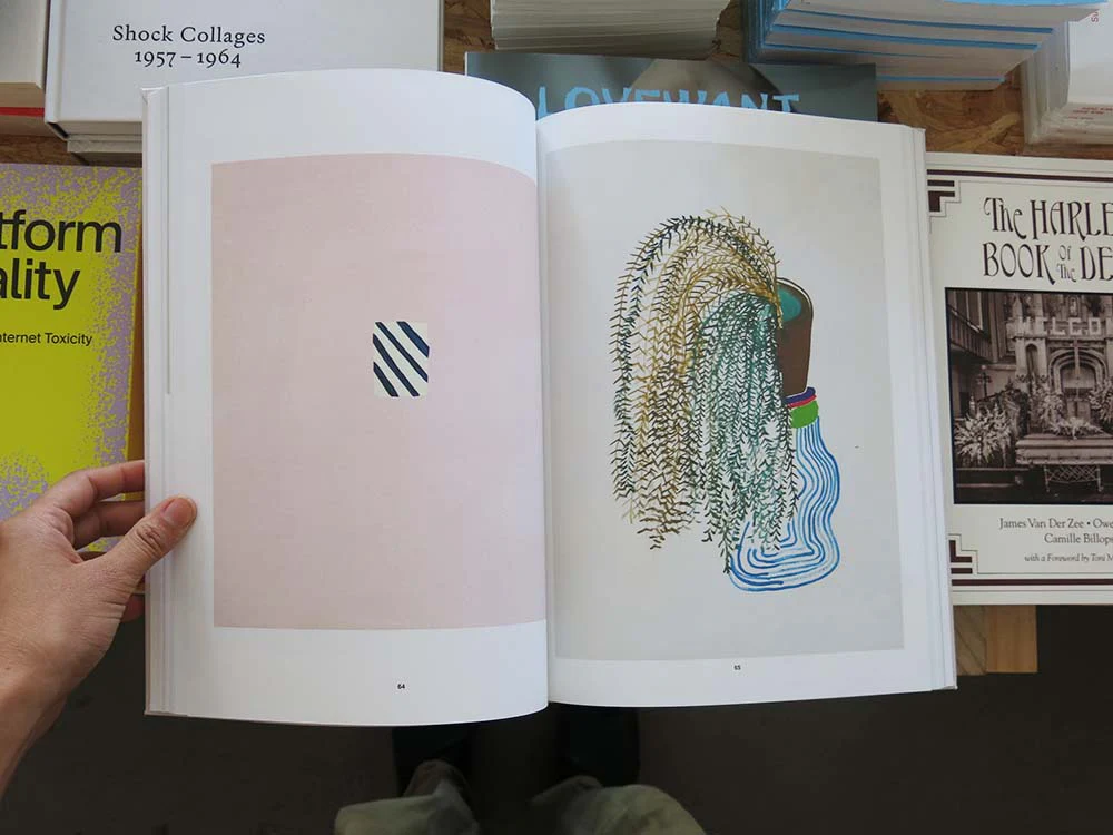 PRE-ORDER: Sereina Steinemann: Works - Image 4
