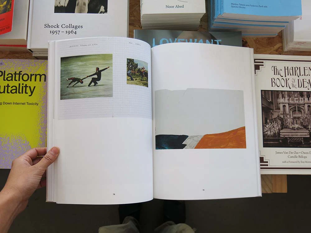 PRE-ORDER: Sereina Steinemann: Works - Image 6
