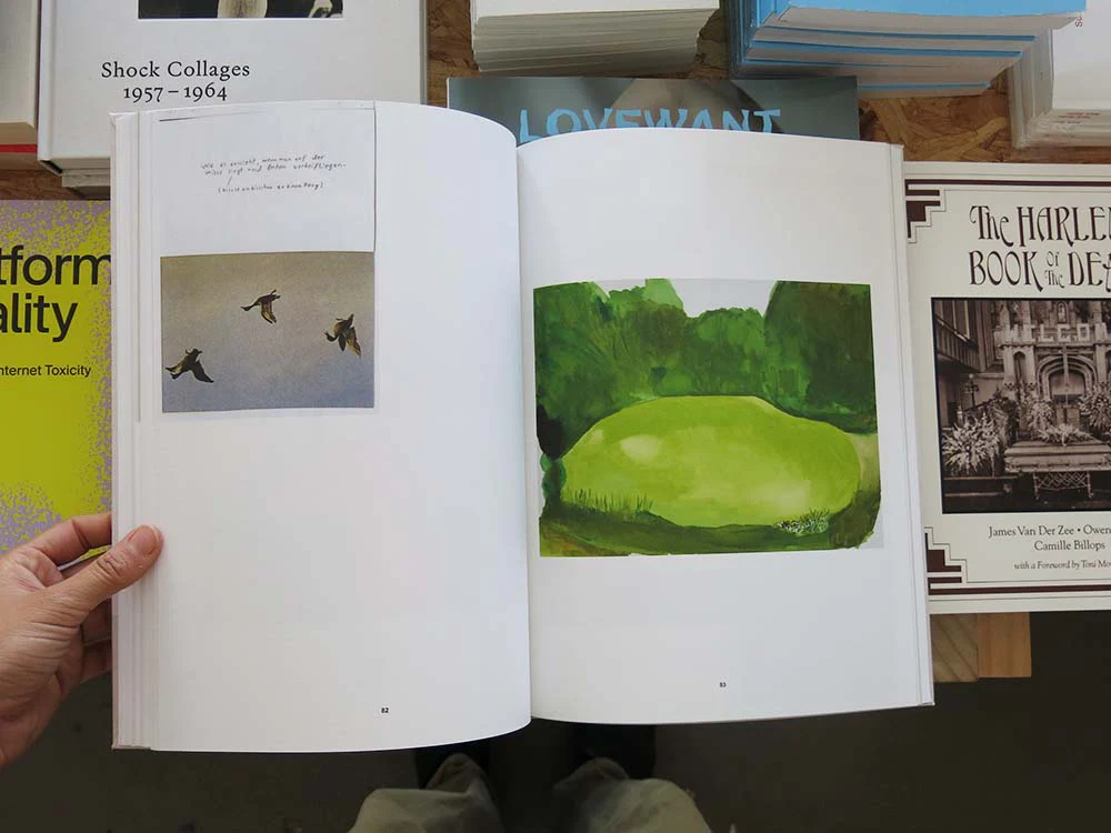 PRE-ORDER: Sereina Steinemann: Works - Image 7
