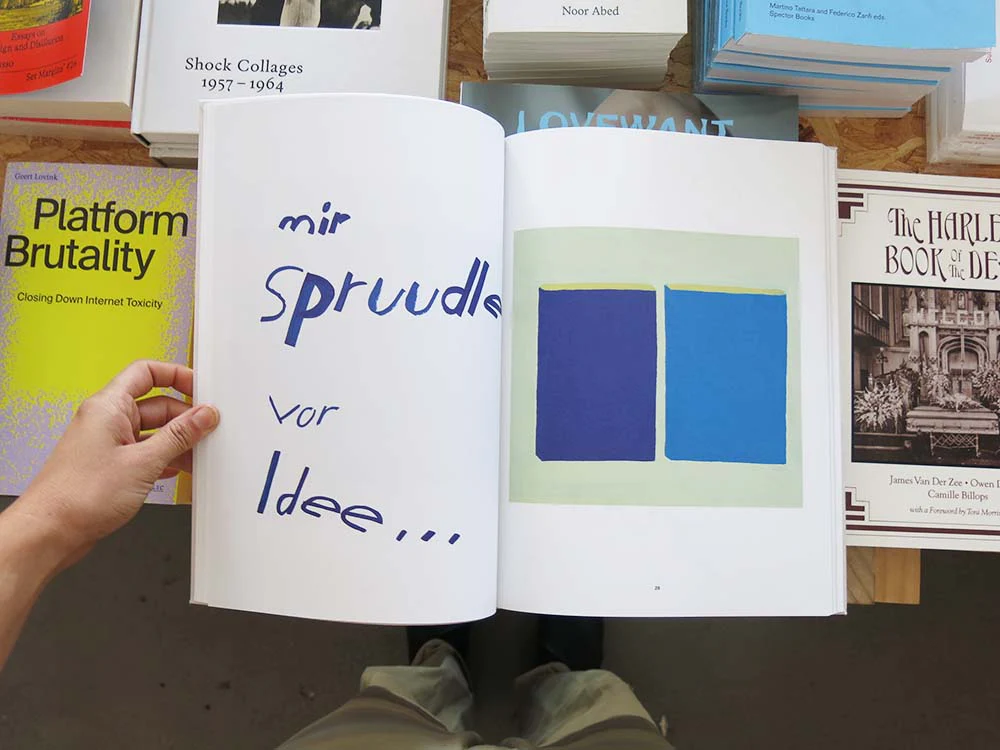 PRE-ORDER: Sereina Steinemann: Works - Image 8