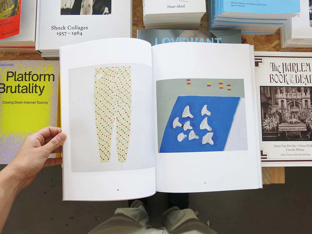 PRE-ORDER: Sereina Steinemann: Works - Image 9