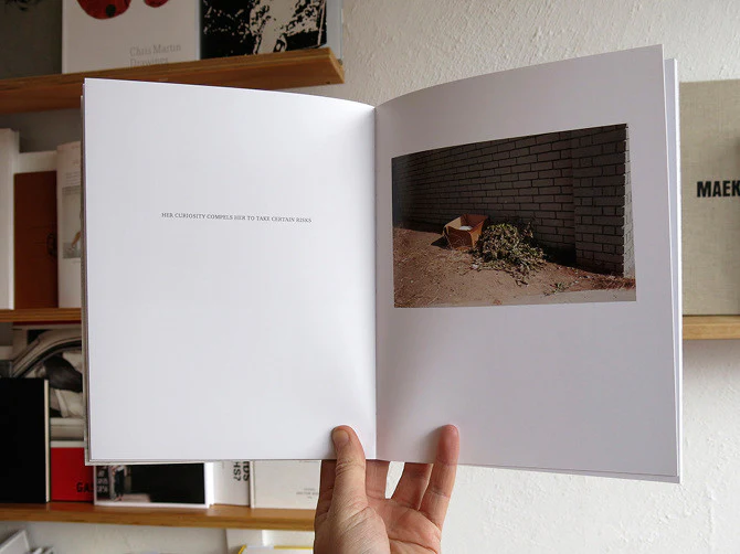 Seth Lower - The Sun Shone Glaringly - Image 5