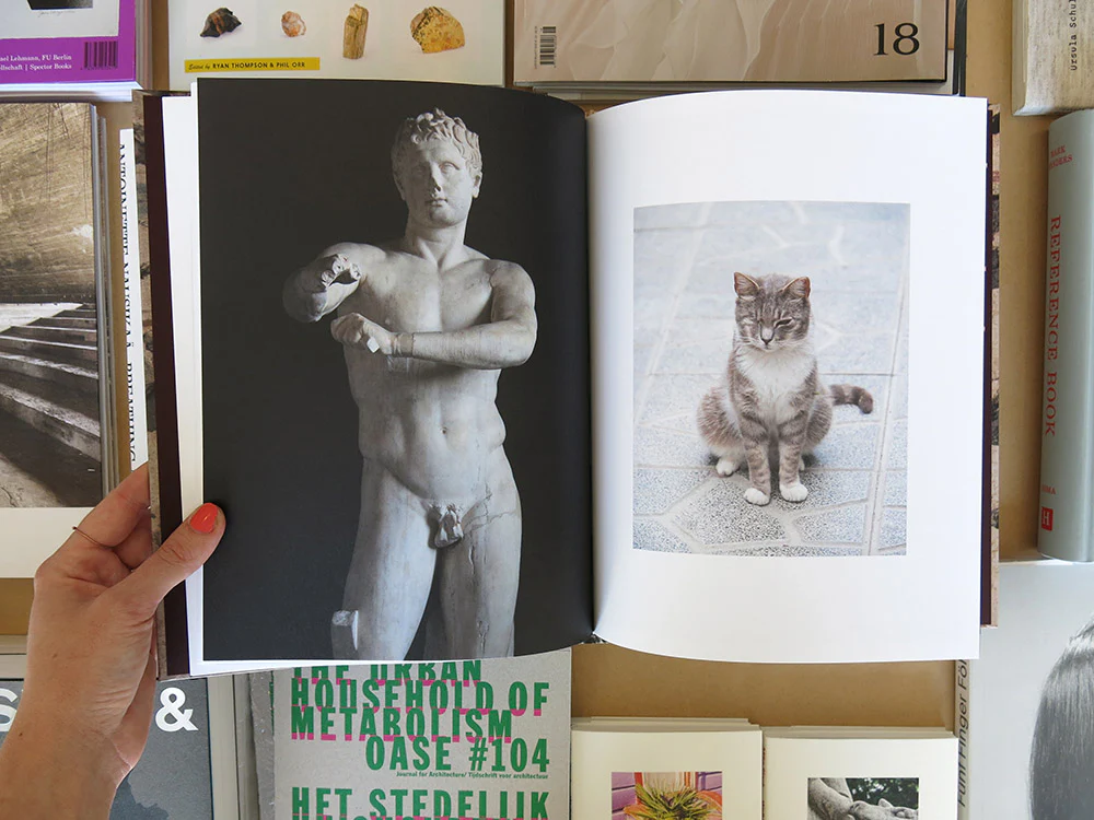 Shane Lavalette – New Monuments - Image 6