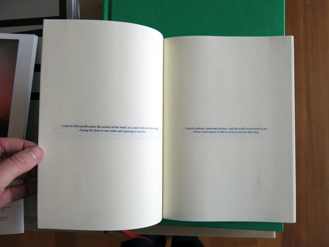 Shannon May Powell - The Anthropomorphism Of Objects Is a Form Of Play - Image 14