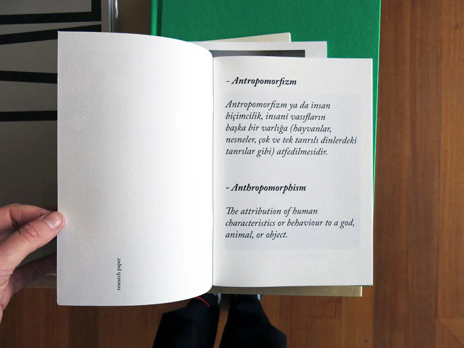Shannon May Powell - The Anthropomorphism Of Objects Is a Form Of Play - Image 3