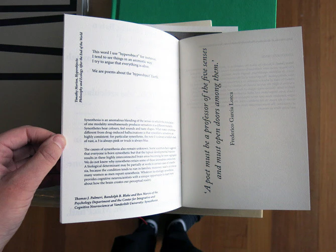 Shannon May Powell - The Anthropomorphism Of Objects Is a Form Of Play - Image 5