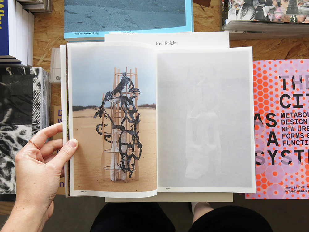 Sketches of Transition: An Atlas on Growth and Decay - Image 2