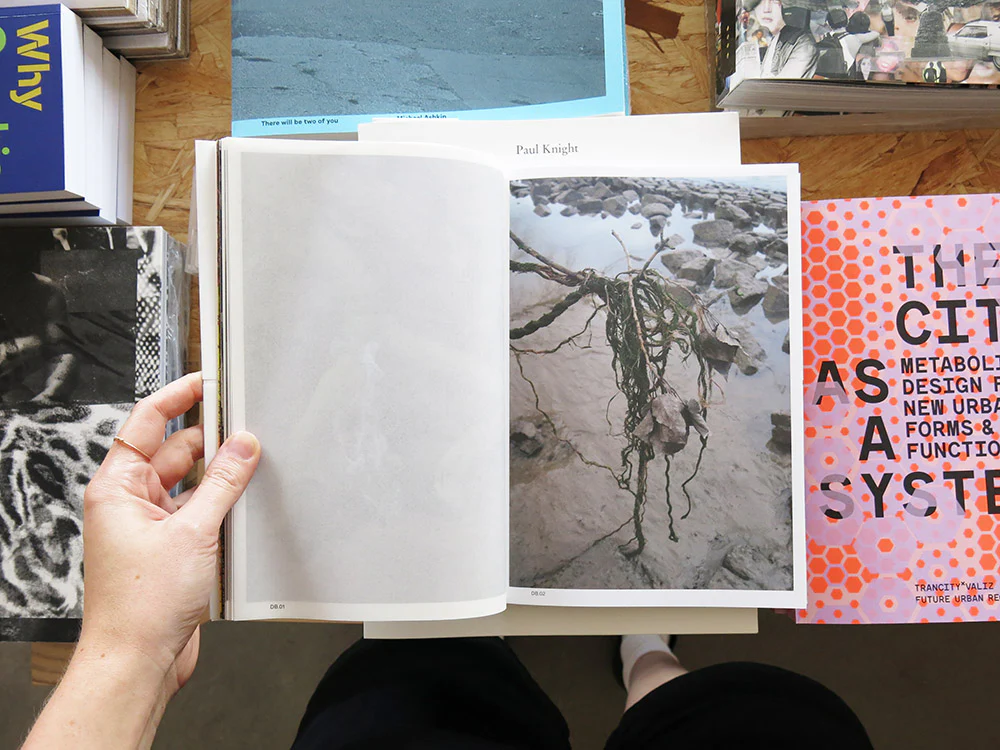 Sketches of Transition: An Atlas on Growth and Decay - Image 3