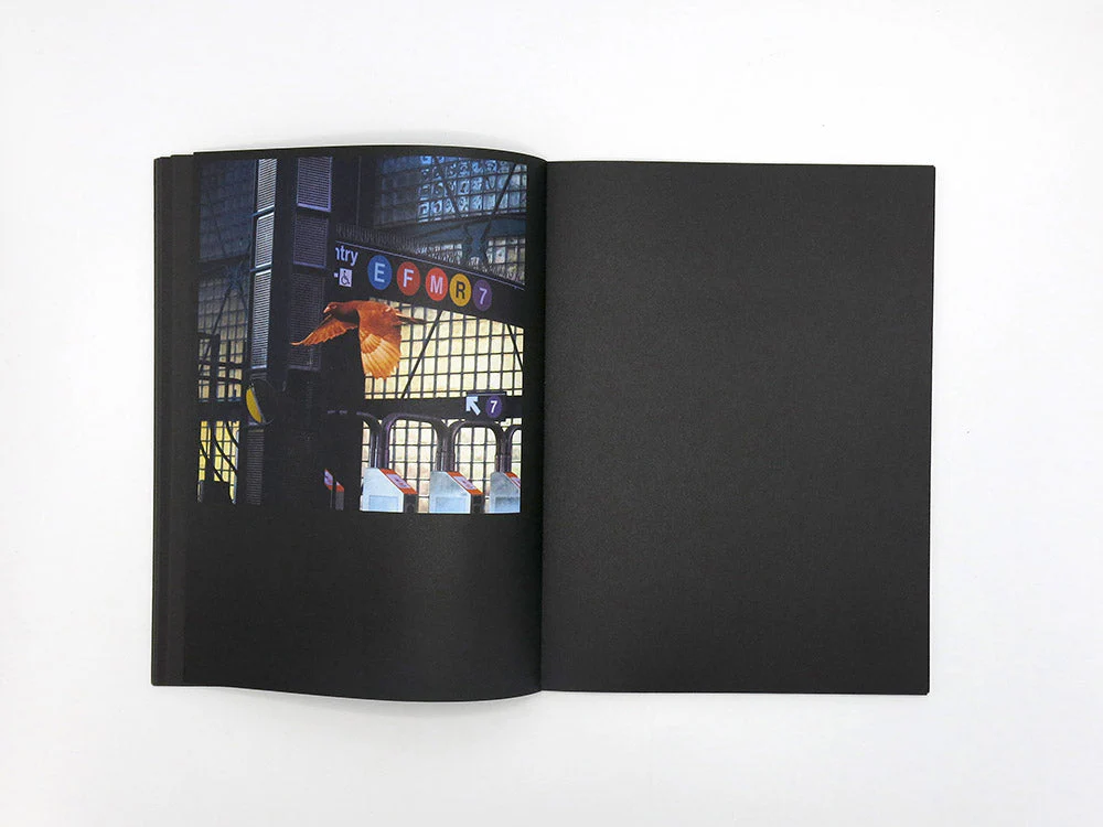 SPECIAL EDITION: David Rothenberg – Roosevelt Station - Image 11