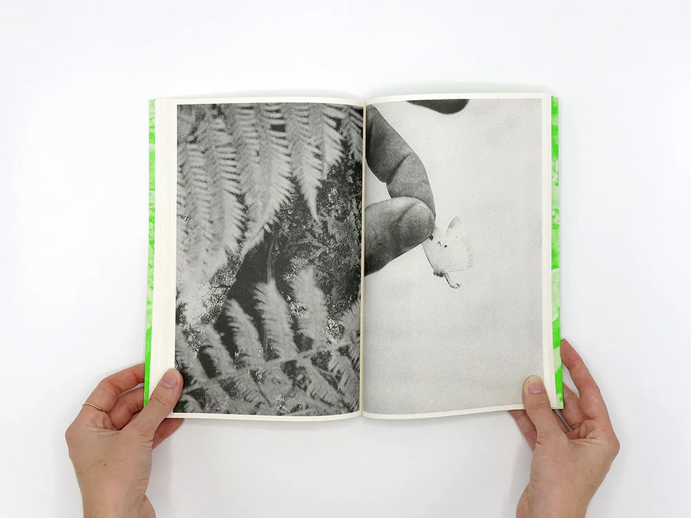 SPECIAL EDITION: Luke Le – What are you looking for? - Image 12