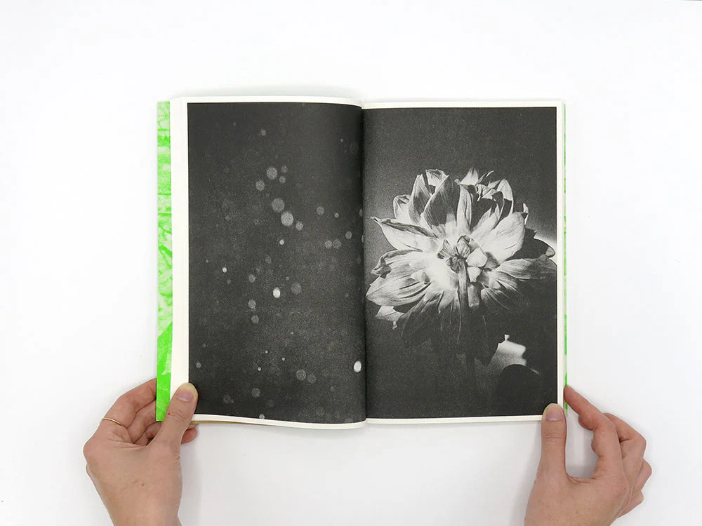 SPECIAL EDITION: Luke Le – What are you looking for? - Image 6