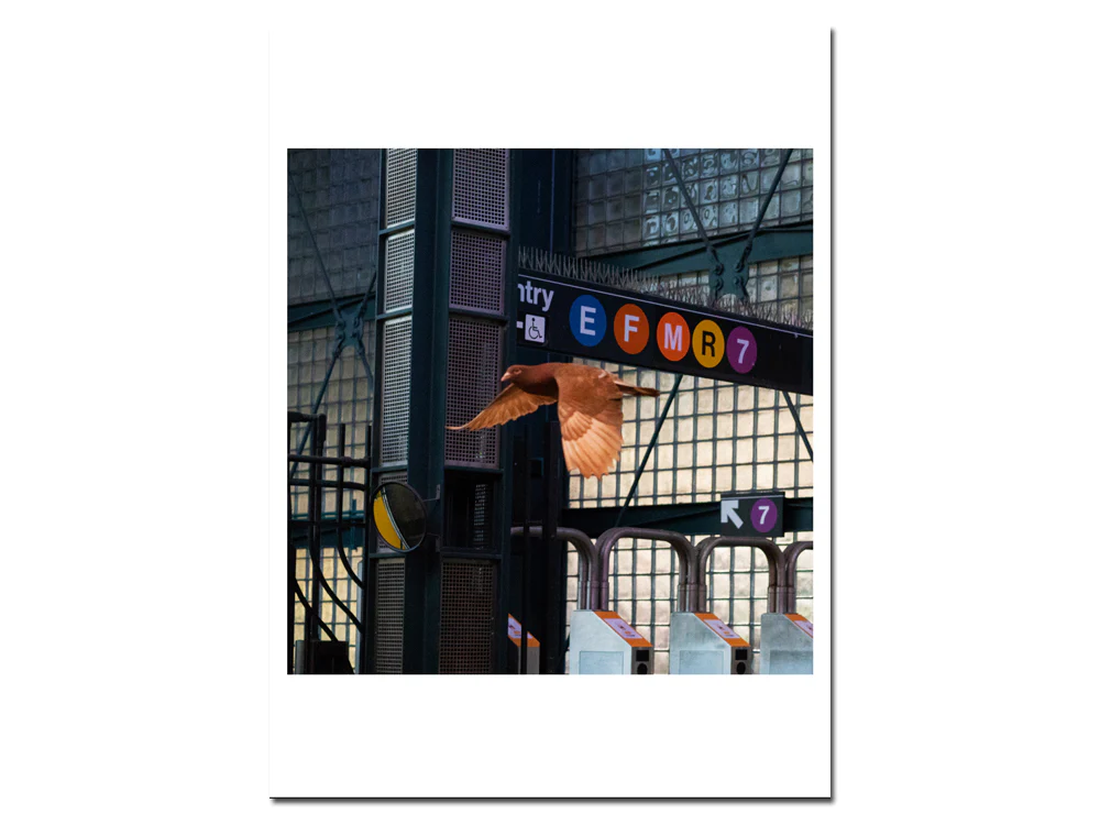 David Rothenberg – Roosevelt Station - Image 16