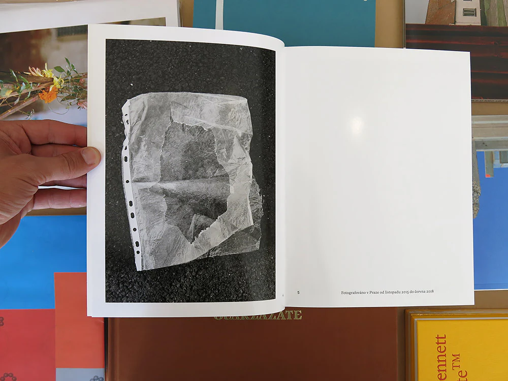Stephanie Kiwitt - Máj/My - Image 2
