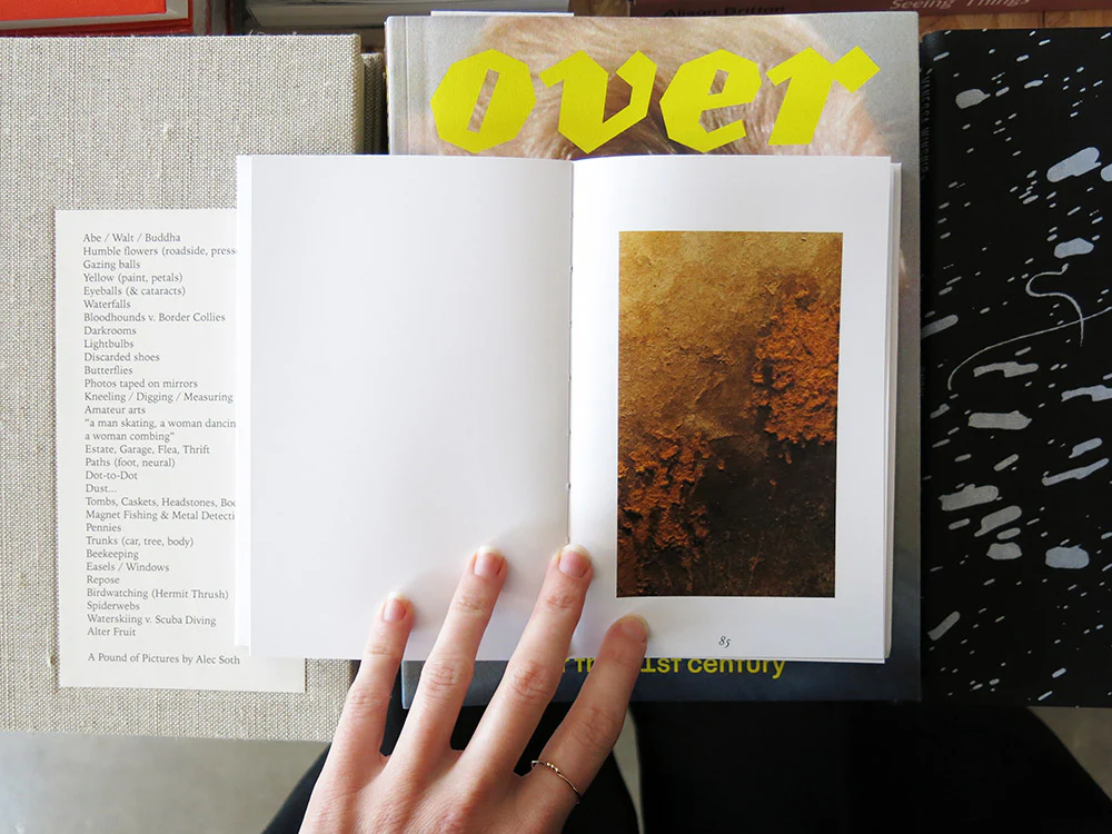 Susan Jacobs – The ants are in the idiom - Image 8