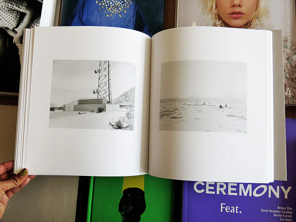 Susan Lipper â Domesticated Land - Image 6