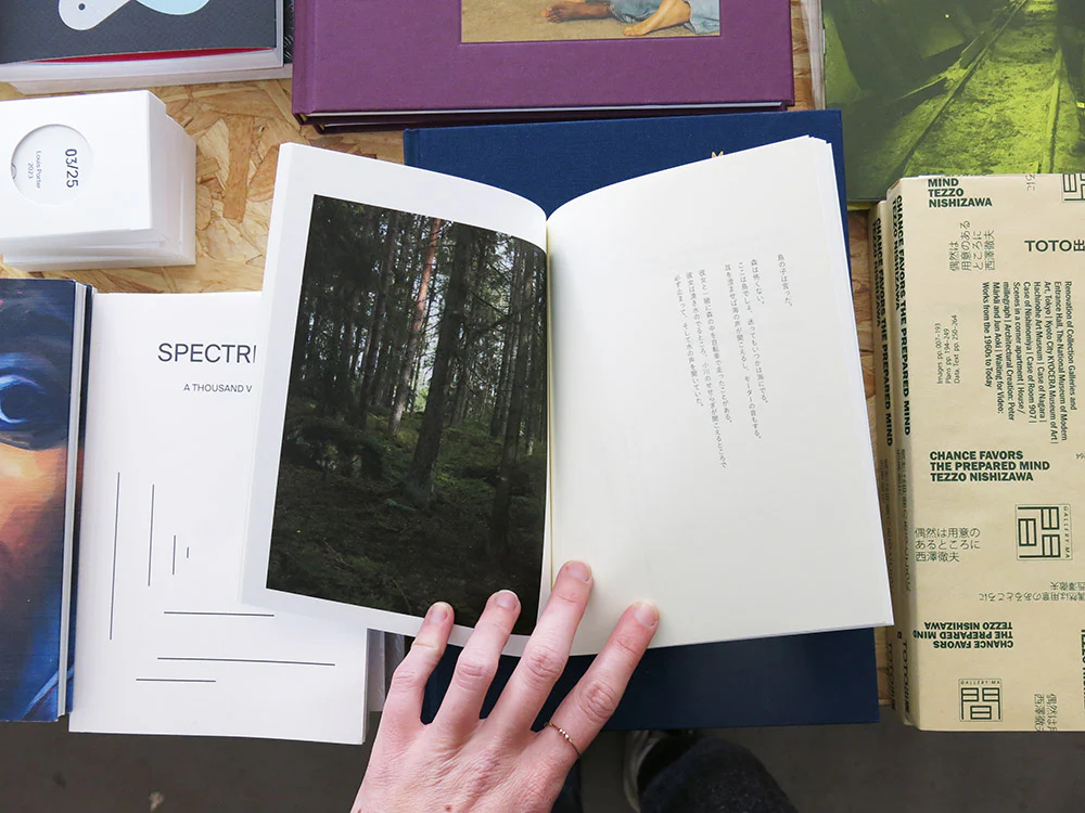 Takashi Homma – Islands, Islets, and Their Mushrooms - Image 5