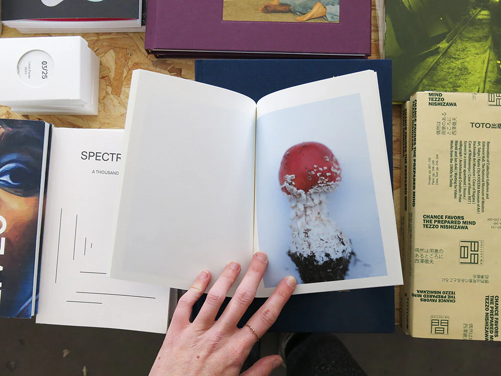 Takashi Homma – Islands, Islets, and Their Mushrooms - Image 6