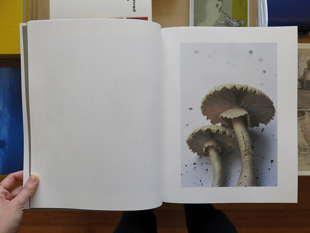 Takashi Homma â Symphony: mushrooms from the forest - Image 3