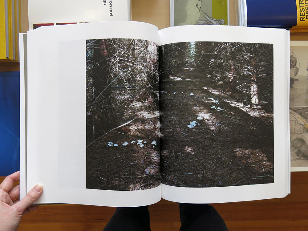 Takashi Homma â Symphony: mushrooms from the forest - Image 6