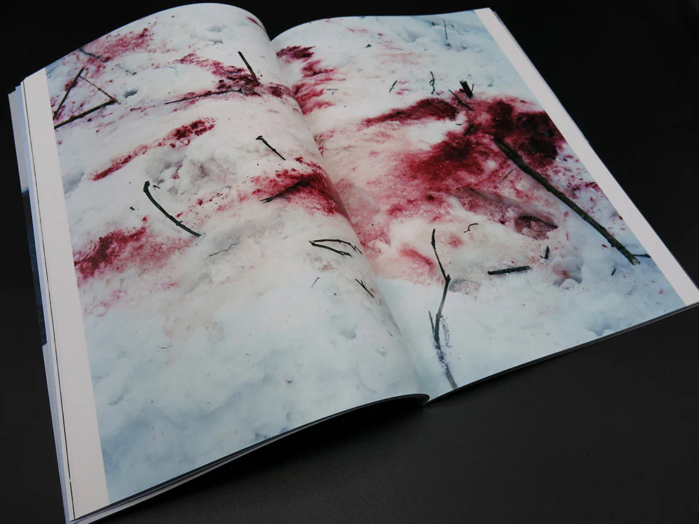 Takashi Homma – Trails (Rare) - Image 2