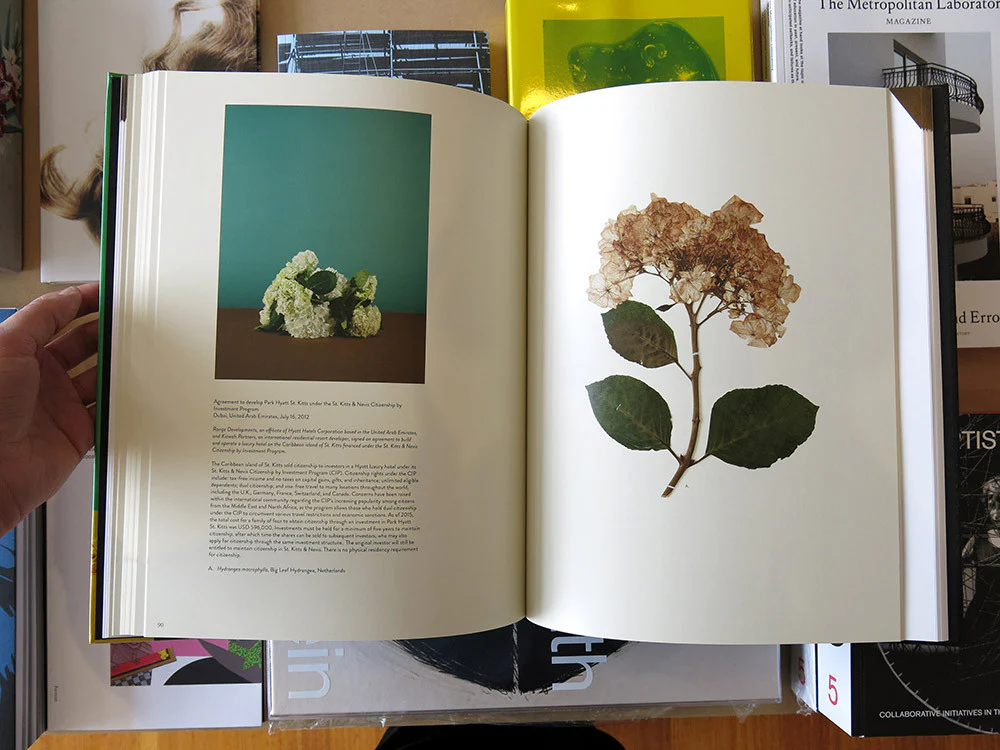 Taryn Simon - Paperwork and the Will of Capital - Image 4