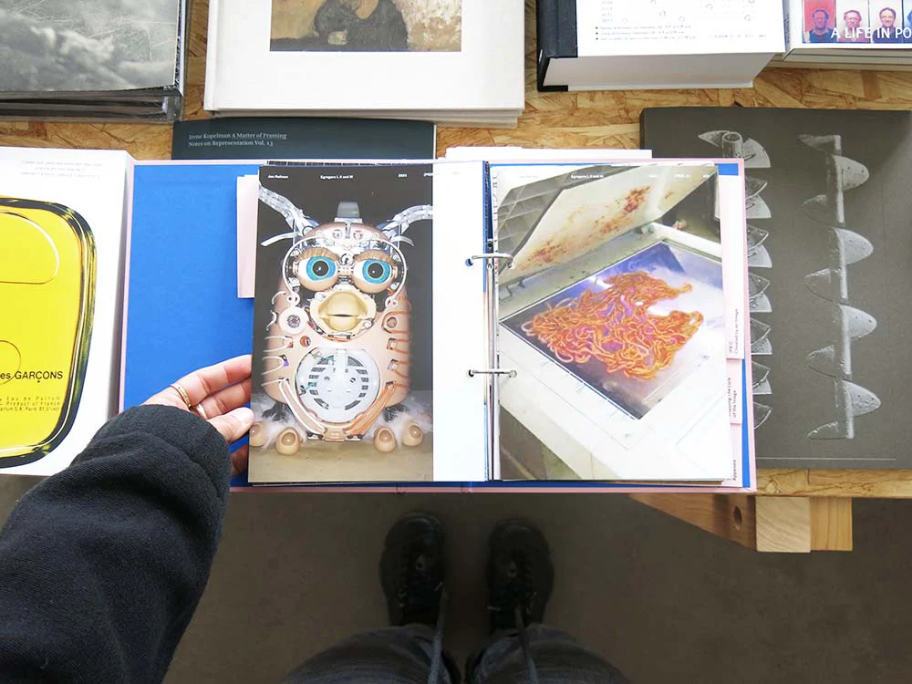 The Lure of the Image - Image 4