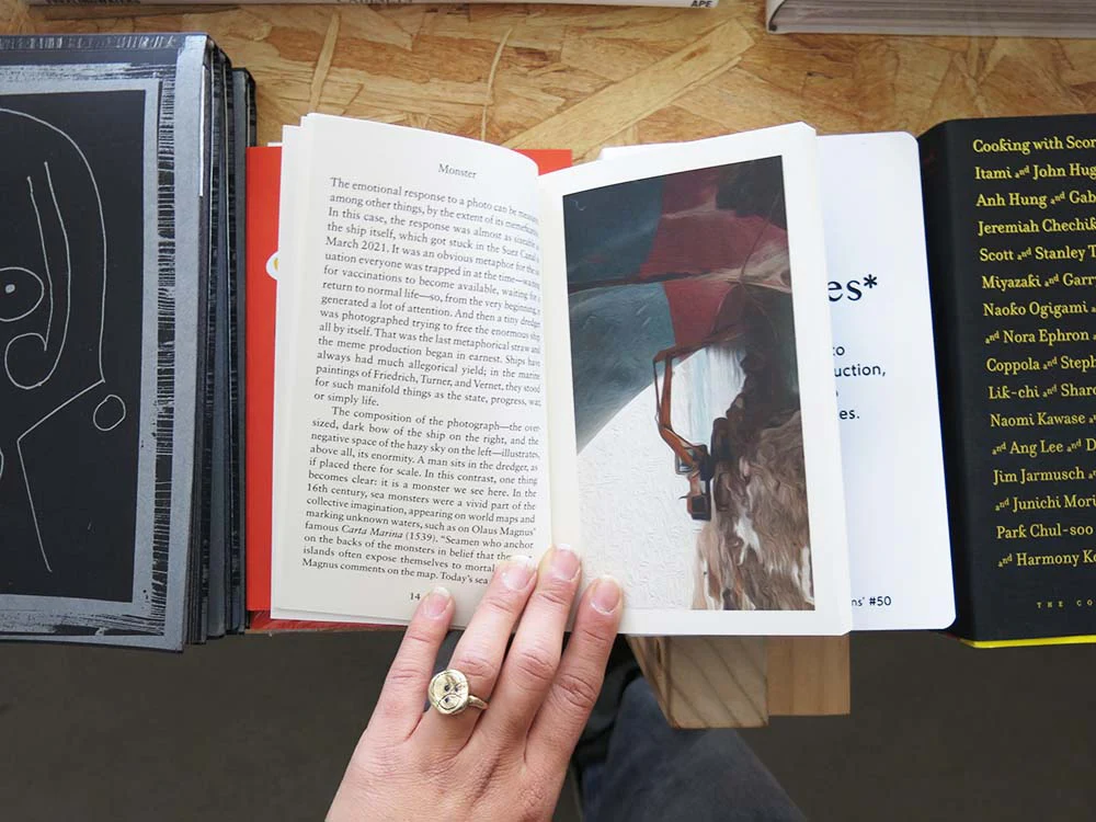 PRE-ORDER: Theresia Enzensberger – Picture Book - Image 5