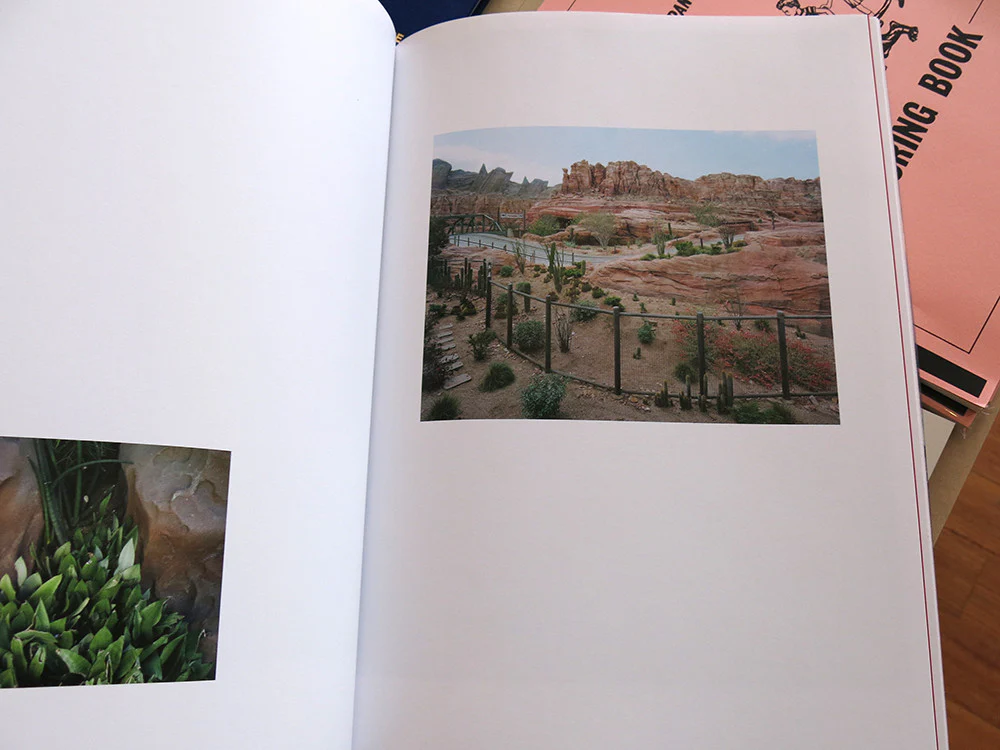 Thomas Struth - Nature & Politics - Image 8