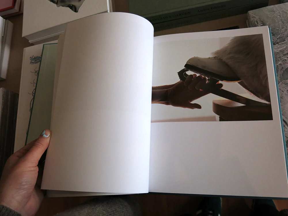 Torbjørn Rødland - Confabulations - Image 3