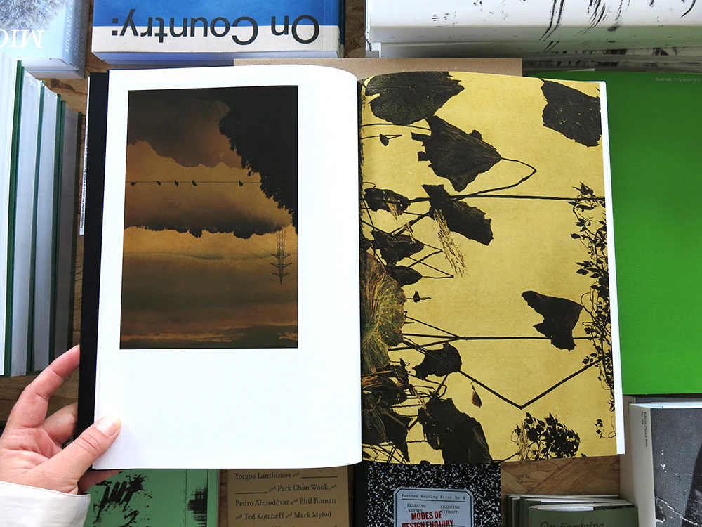 PRE-ORDER: Angel Albarrán – Windows to the Unexpected - Image 2