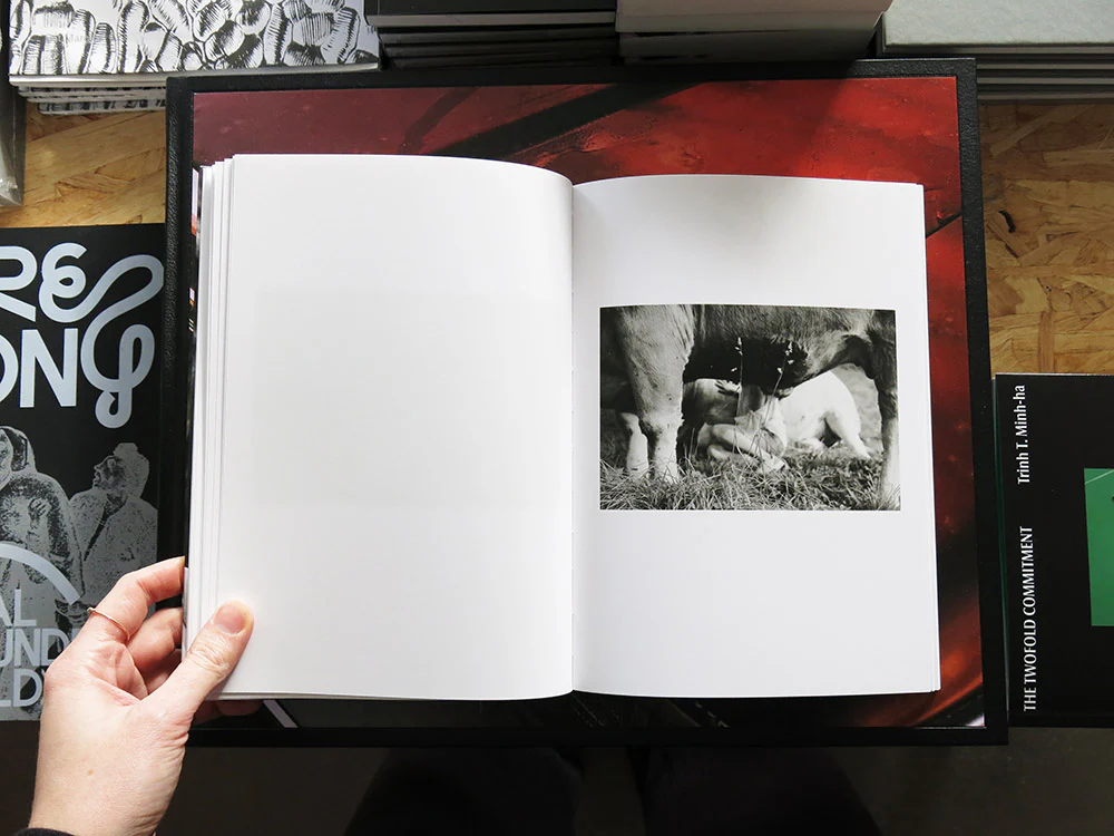 Yana Wernicke – Companions - Image 5