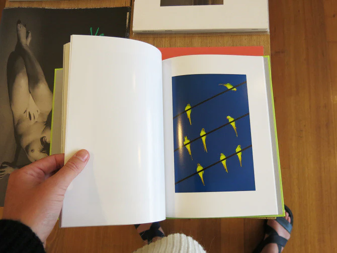 Yoshinori Mizutani - Tokyo Parrots - Image 3